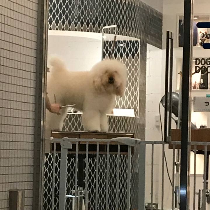 6f3bd2d8 77bf 4a71 b729 dff13244dbe9 1522755321387