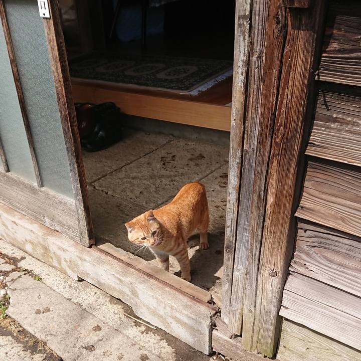 6f3bdc66 0380 4145 9351 ebe631489e6e 1648177920598