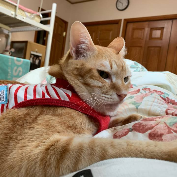 6f3beb3d 9543 4111 aa15 4db9a74c72c3 1588107333096