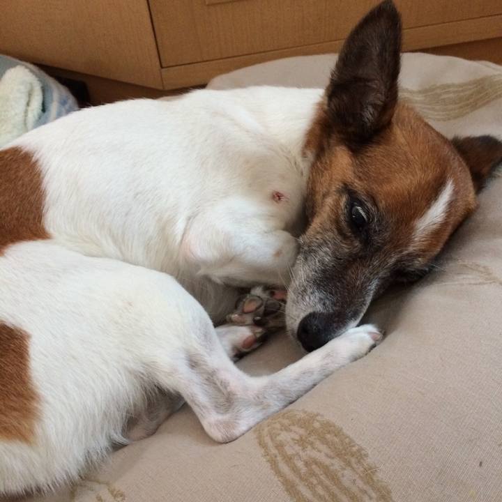 6f3beb97 c16d 4562 9b84 de36861394b5 1550640080597