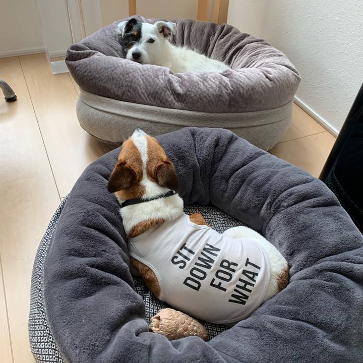 6f3bee79 fc8e 4200 ae9b 20b99299b4af 1592799899231