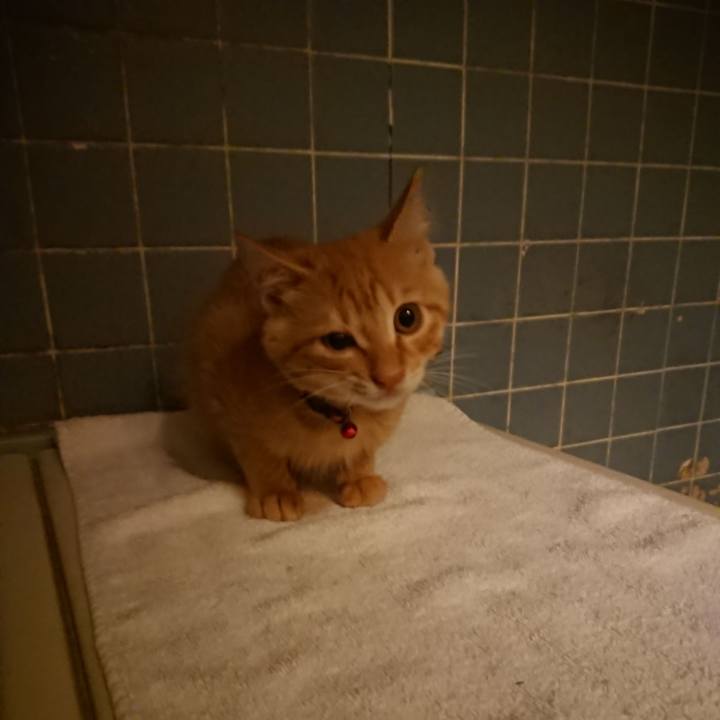 6f3c2f5f 1ff5 43e3 a112 6716089af272 1632735317514