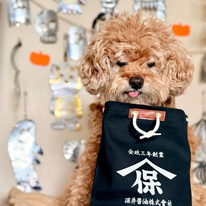 6f3c5466 93c7 43d6 b43a 2b9a967af160 1764381774408