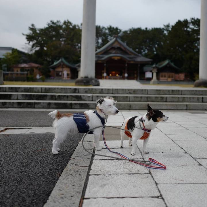 6f3c63e2 6a4d 4f94 84a0 614434502d30 1510723295216