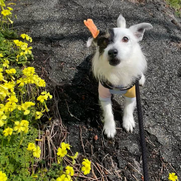 6f3c836f 1b73 4b3e a89f 535035aee631 1741829021574