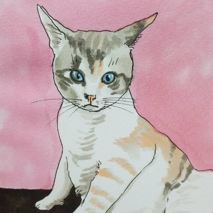 6f3c862b ea86 4bbf ab69 1270c2302c7a 1538909940325