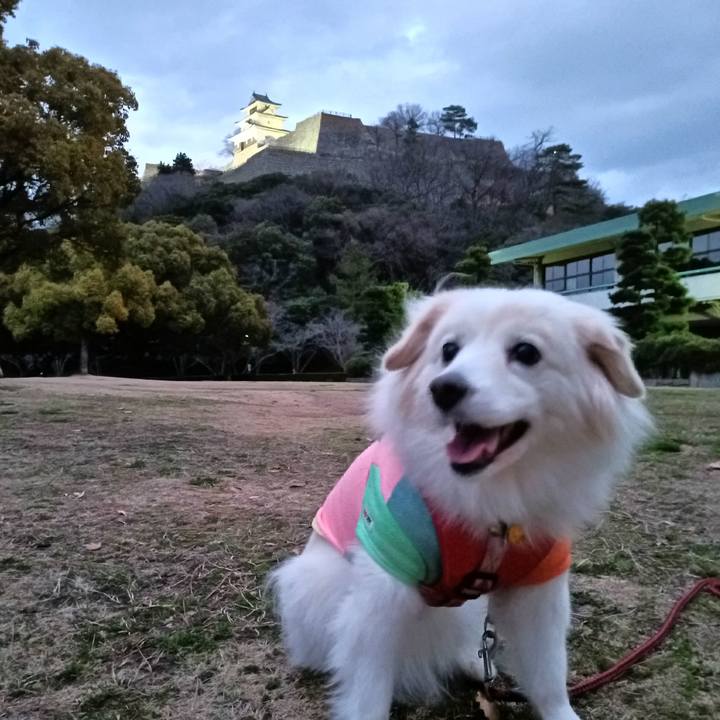 6f3c9486 8725 40ae a8b7 e30a36aedadf 1677316951498