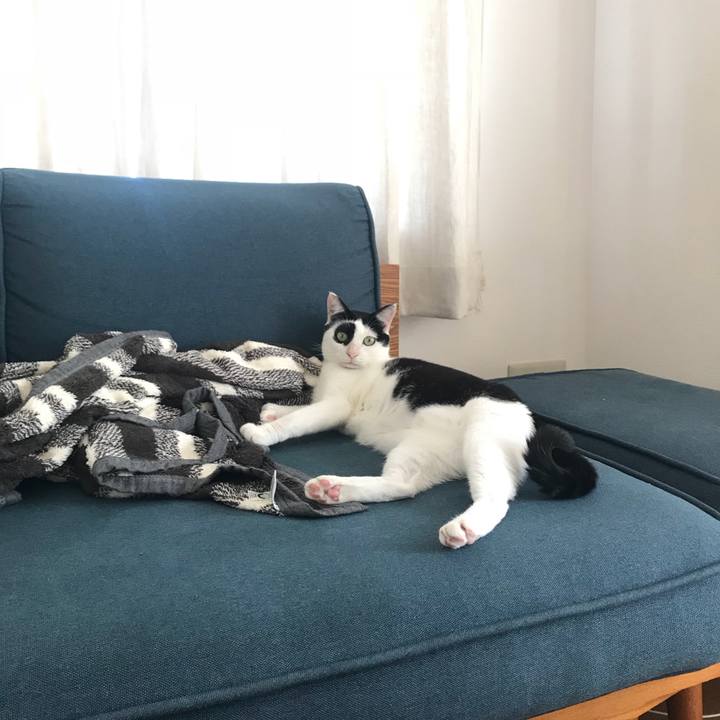 6f3caec2 af1d 4b7c a726 30c3dc5f2304 1538392096171