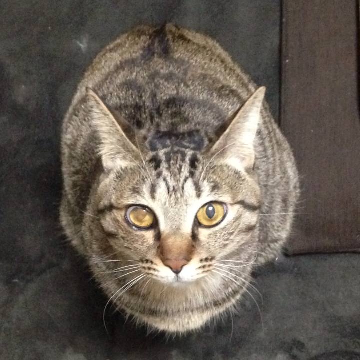 6f3cc296 7453 4735 8e2a 0fccd0e5bf6a 1511396787768