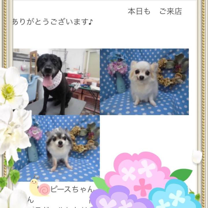 6f3cc432 63ab 4aa0 a9bf 79e936711e5e 1560697208814