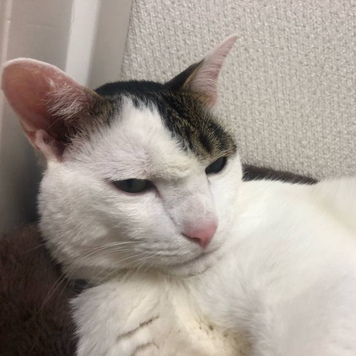 6f3d14a5 e859 4898 9fb7 5231569b0e98 1590622696086