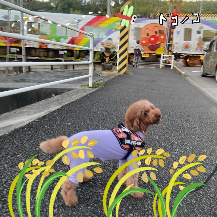 6f3d393d 25a5 4c84 9526 c0e7cdc77eaa 1761471749704