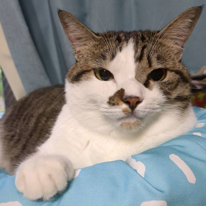 6f3d5655 1aa8 454e a9e9 fe3fa179bccf 1666047563418