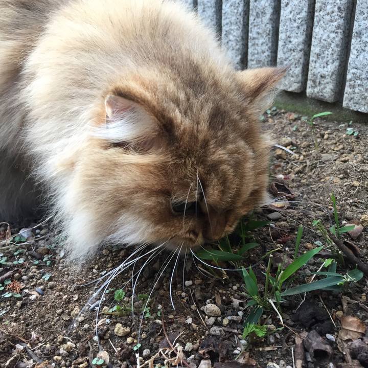 6f3d67dd 8ee1 44ec b8bb 4a7e9d784949 1522278237887