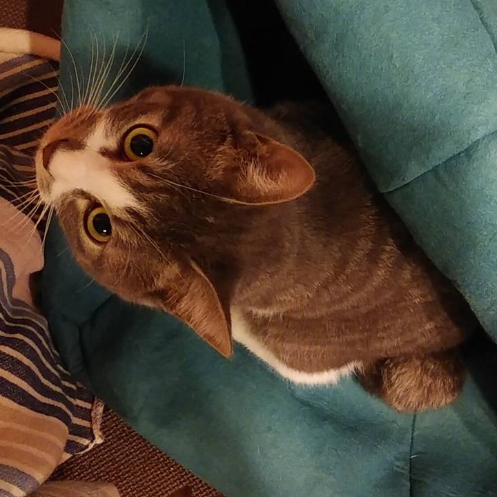 6f3d9095 6421 4b70 ad1b 057ea1cc75e6 1581950692223