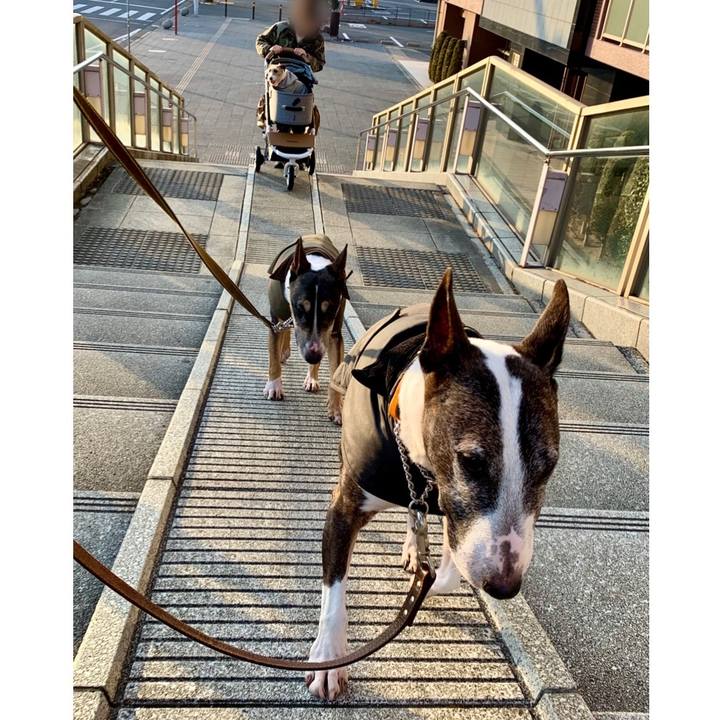 6f3dc910 eb98 47c1 bc90 e93a39450831 1610795891782