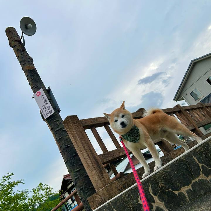 6f3dd63e bdc4 4c9c a552 cbc6a1cedf25 1748258079876