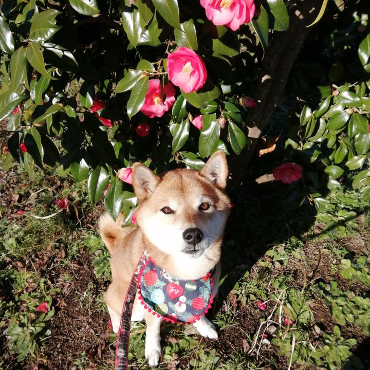 6f3dd97a 3be1 4e74 9dfd 2346a6cb94c1 1639876457802