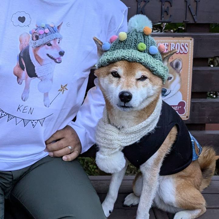 6f3df4fb 0dbc 44ca 8706 8075479f0d9c 1733481072622