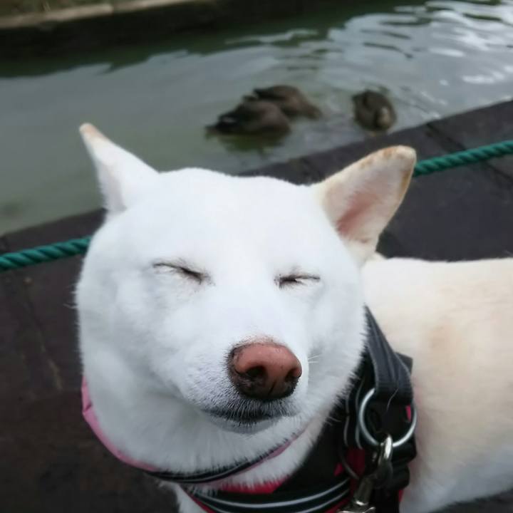 6f3df965 2281 470b 9da9 4b532de38af9 1539323440242