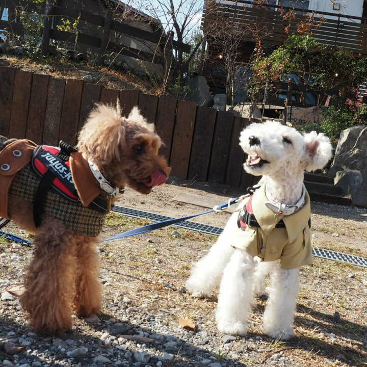 6f3e1d9f bc01 44a7 98a1 59915ee84ae8 1512963748465