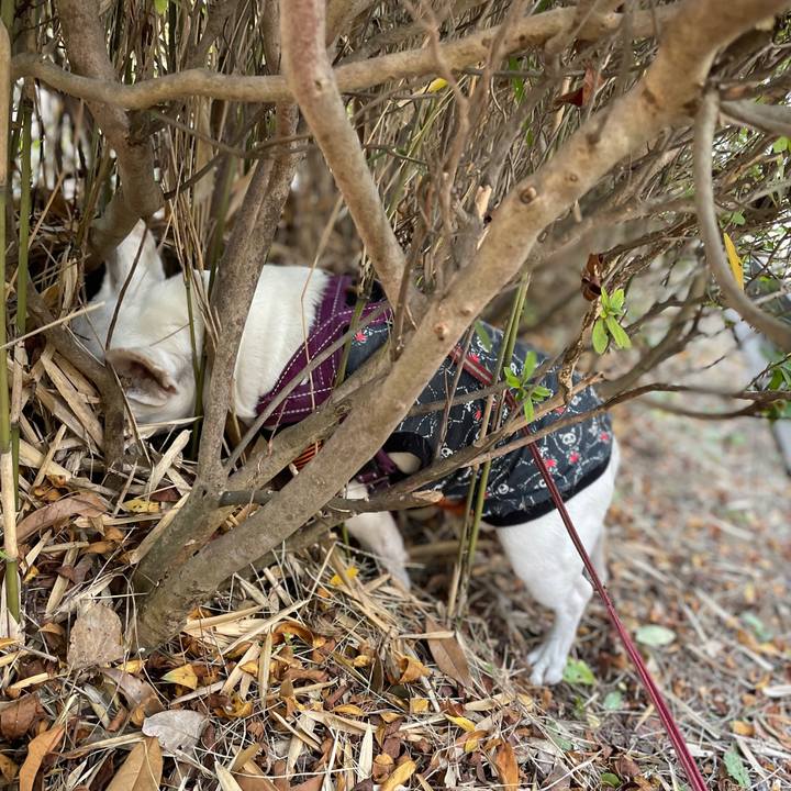 6f3e21d4 5456 4992 9caa 85e631a2d606 1768797201511