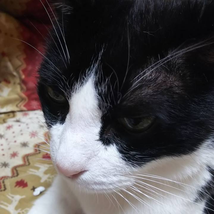 6f3e40c1 4167 4c42 afc2 e3041b5d0785 1591739286393