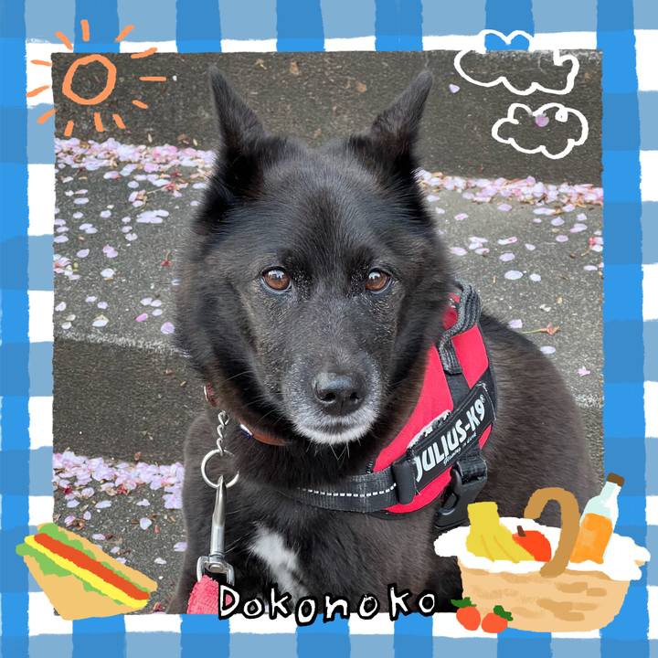 6f3ee97c f191 485b 8197 7f83f87f285f 1744600927889