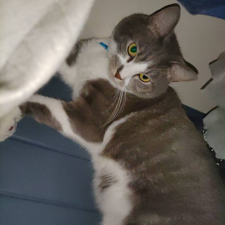 6f3f0967 89e9 4e0c 829d 426e37513782 1688433778004