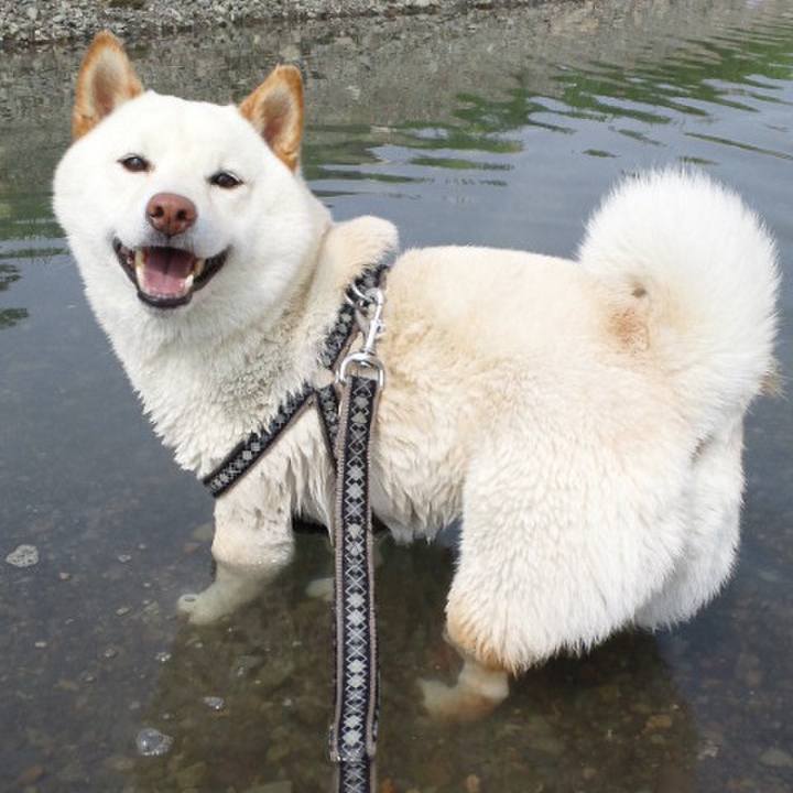 6f3f09e4 7175 4785 8a06 ccd14b39ae6f 1648314974178