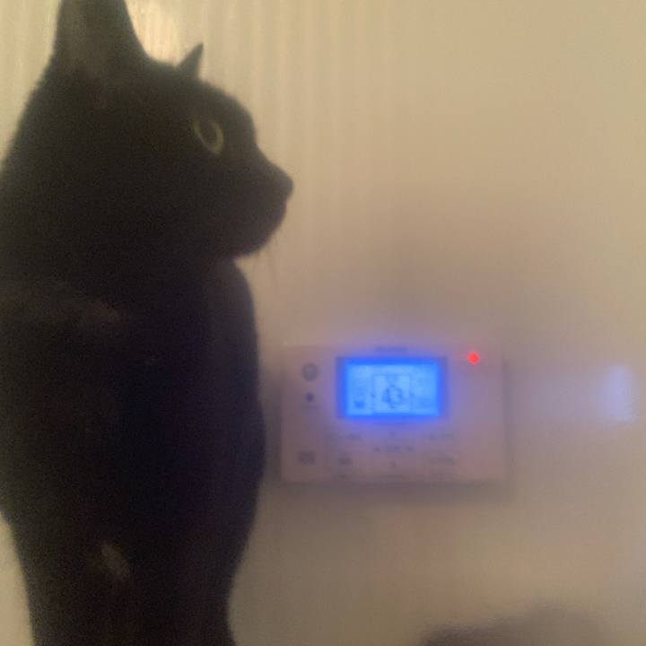 6f3f2329 b863 4c80 8371 127e94b26aee 1649592175972