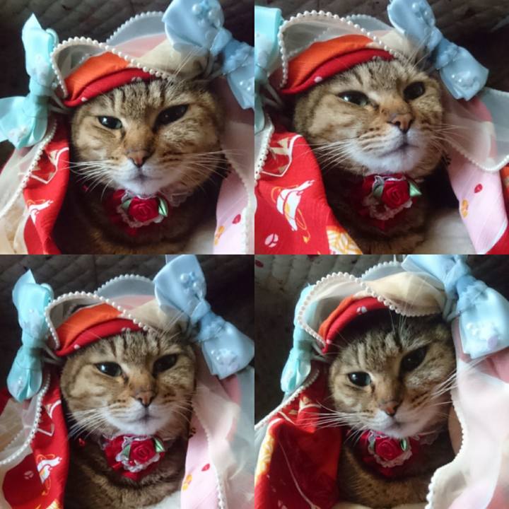 6f3f35ea 72bf 4397 8d85 198c9ca3df8c 1770418583973