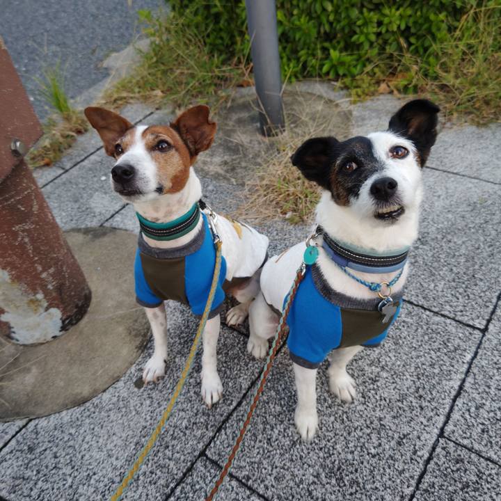 6f3f68a0 8d52 4e89 a964 e6703147ed5a 1730758245869