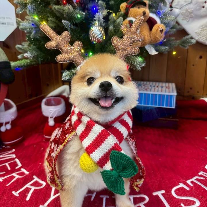 6f3f9d49 6dce 4e18 b9a7 d4817b482f5a 1766668393941