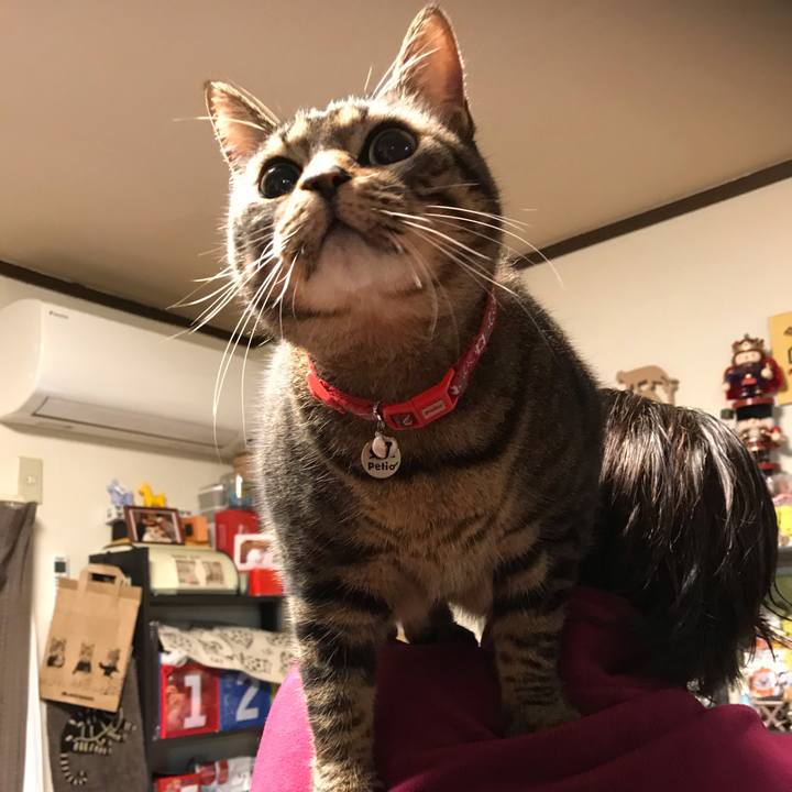 6f3fdcd8 e4fa 4142 95a0 952ddf8ad6f3 1581429537696