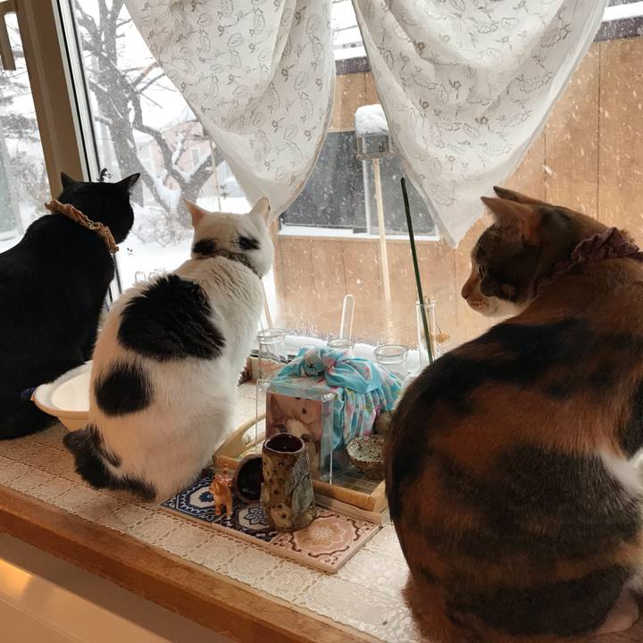 6f3fe168 5969 404b a1b1 9f96c7b19e65 1639786911696