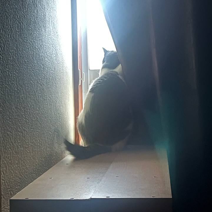 6f3fea4f 18dd 466d a69e a8b1d2ac6fe0 1695071752631