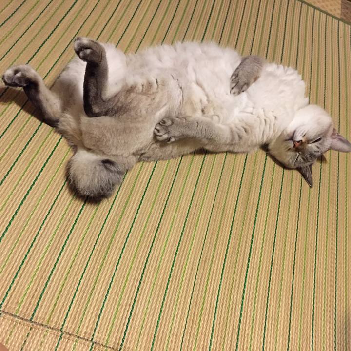 6f3ff77f 331f 4ac5 bbdb 239db46c44d4 1537538912845