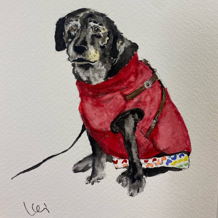 6f3ffd26 7533 4b77 814e 49aebcd0d7cd 1741764885224