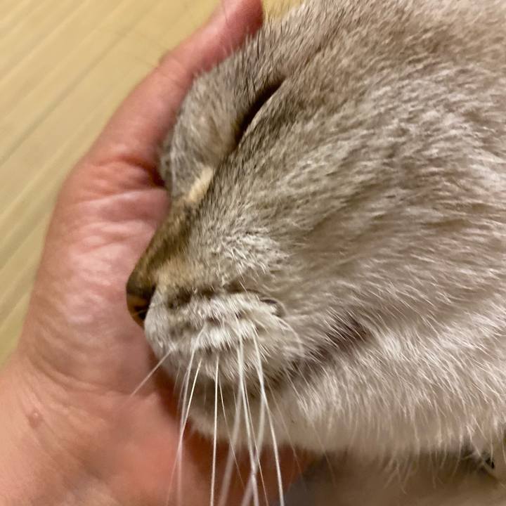 6f4028b5 0091 48d7 a3b5 80e56f8b0612 1599306662591