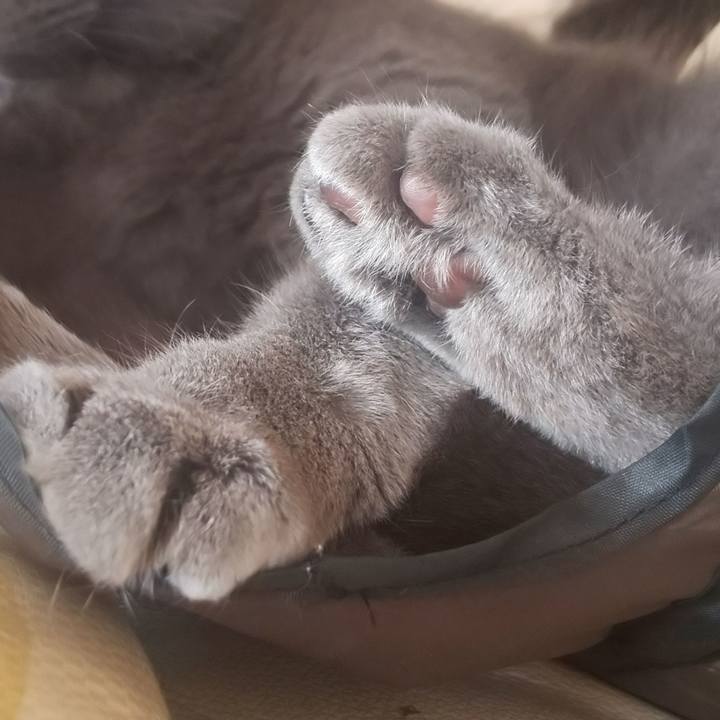 6f402c31 a420 49a1 beb0 8759885680d8 1556067784451