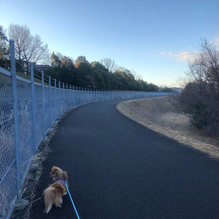 6f408637 4d59 4144 9414 e39471781cfe 1546391550852