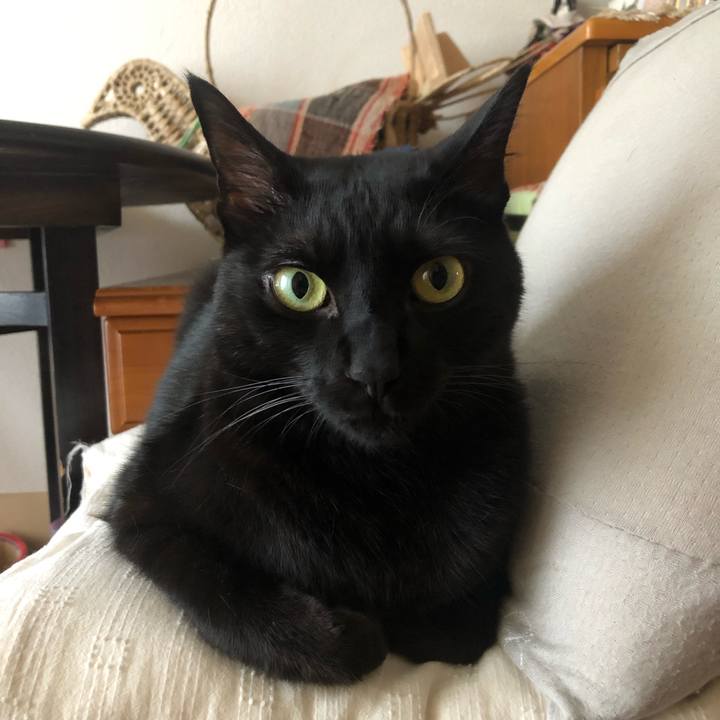 6f40ec38 013e 4269 95ee e9e8568ba372 1570665896842