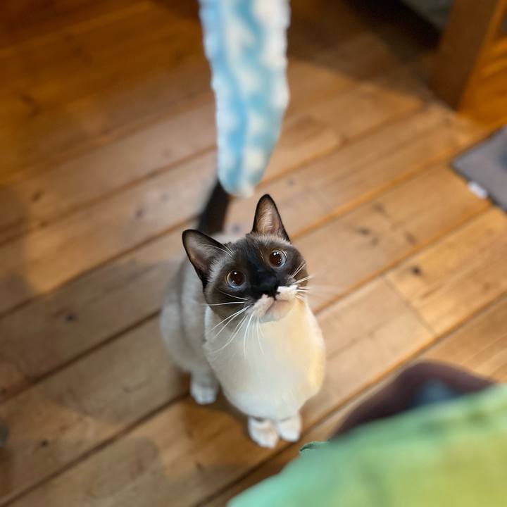 6f40ee0f fd92 47d6 9ade 937ec283140d 1729669759249