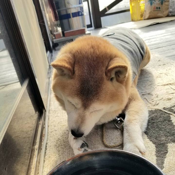 6f41178d 4404 4dd5 9eb6 d11781d64f47 1680392540801