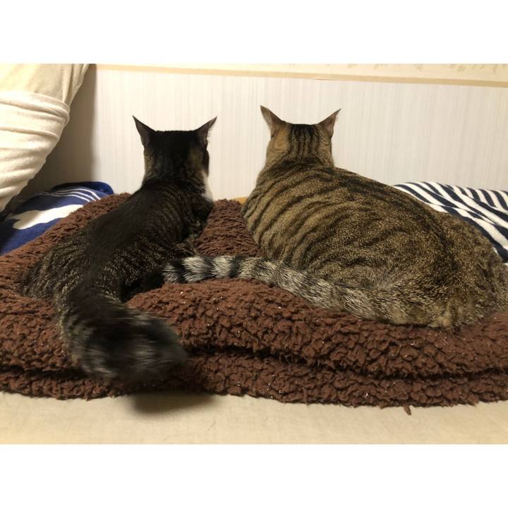 6f4165c8 cec1 4f41 8224 dcb7c65bc842 1619728841658