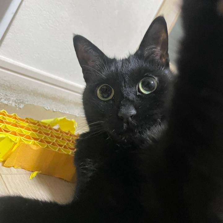 6f4171d5 161b 4e31 a918 4072425d525f 1706362047131