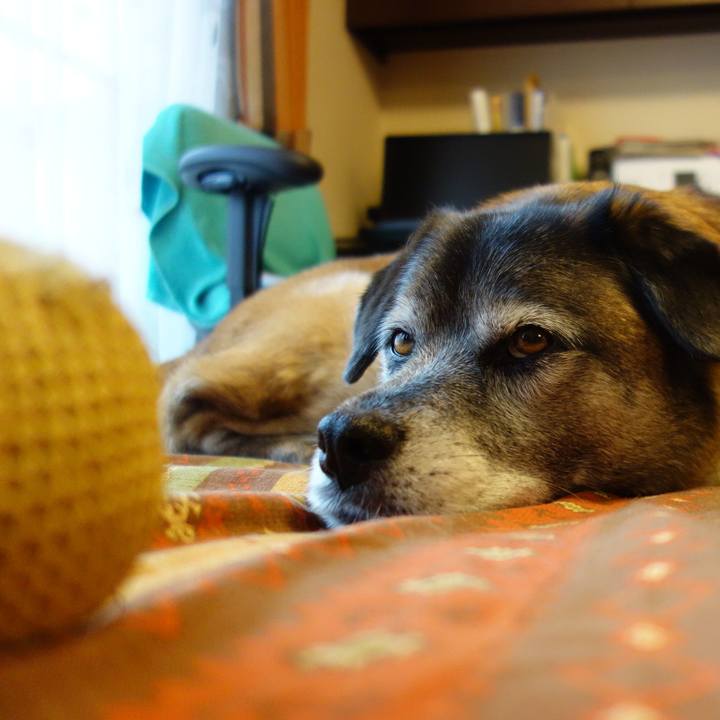 6f41828e 24bd 40e1 ba76 c9bf8a27db89 1634519975888