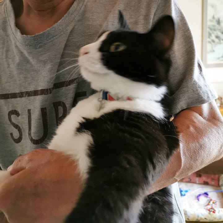 6f41b6b9 4853 47b9 87a5 eecedf0cf94c 1629074513296