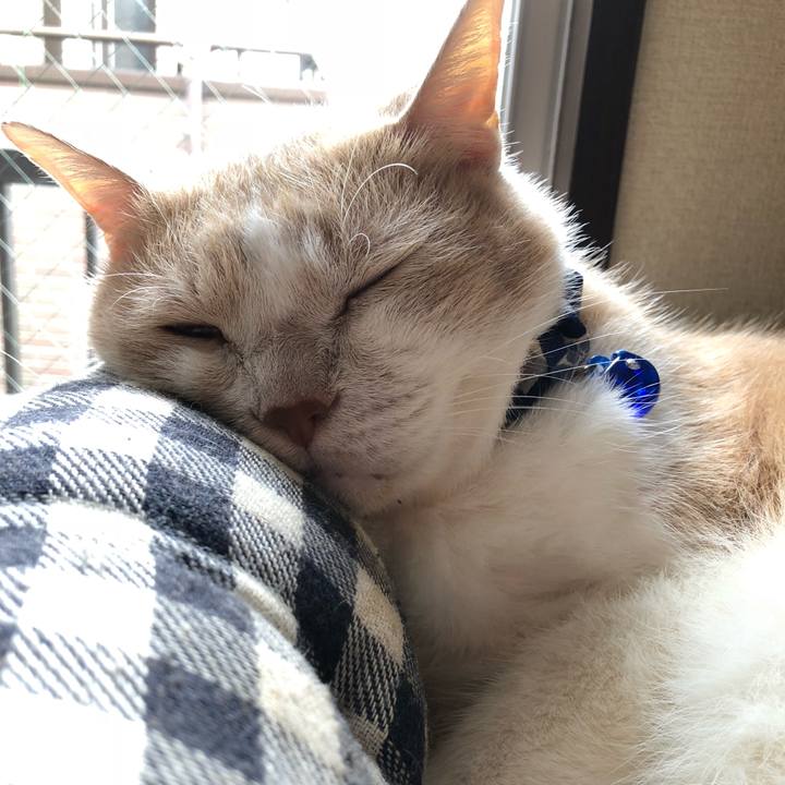 6f41ba3c d4d4 4dec af02 682ca480c29b 1538263864274